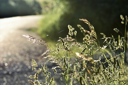 Annullata la passeggiata lungo Via Francisca del Lucomagno