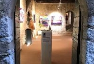 Immagini della mostra