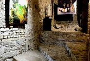 Immagini della mostra