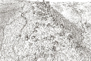 Disegno mappa interattiva